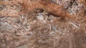 Bilim insanları, 240 milyon yıllık ejderhanın bütün haldeki fosilini buldu