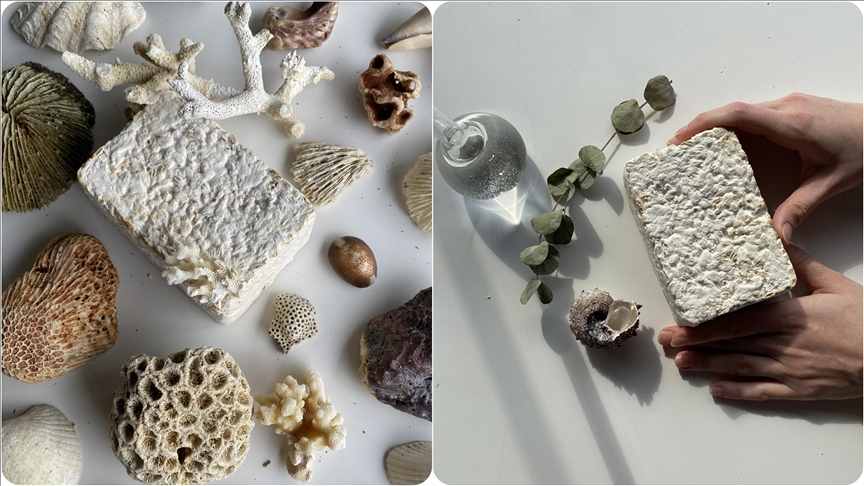 Plastiğe alternatif mantar miselyumu üretimde karbon emisyonunu azaltıyor